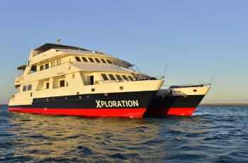 Celebrity Xploration