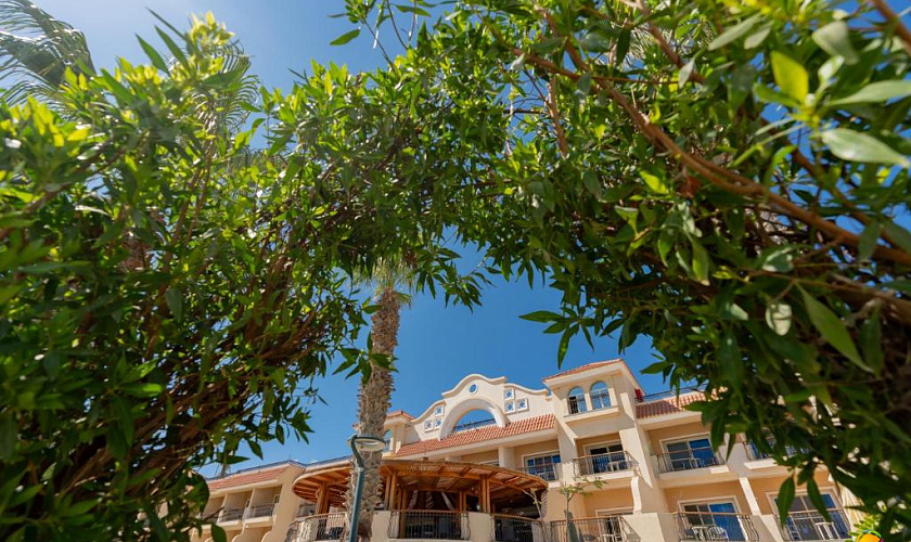 Картинка - 6