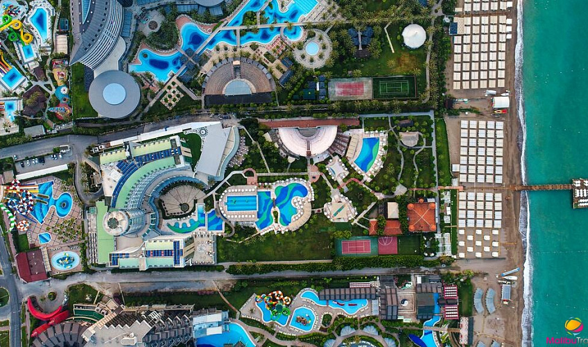 Картинка - 1