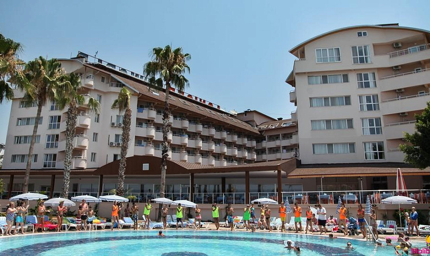 Картинка - 5