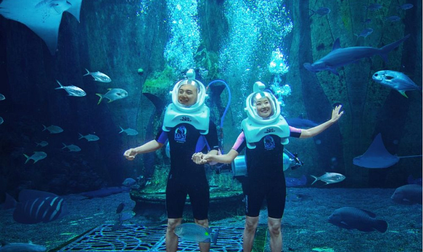 Картинка - 14