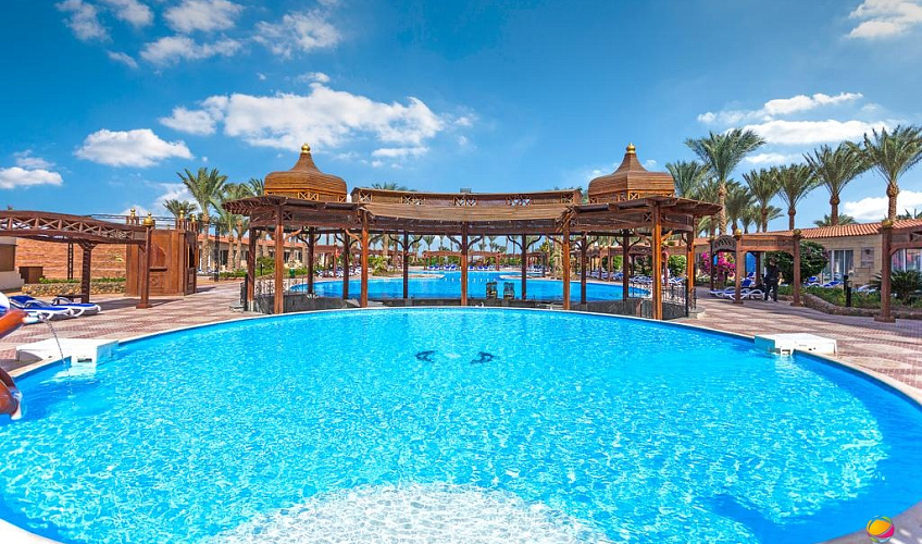 Картинка - 3