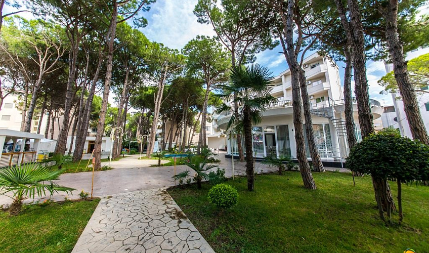 Картинка - 19