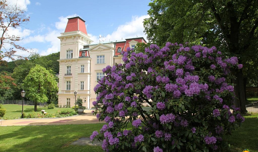 Картинка - 1