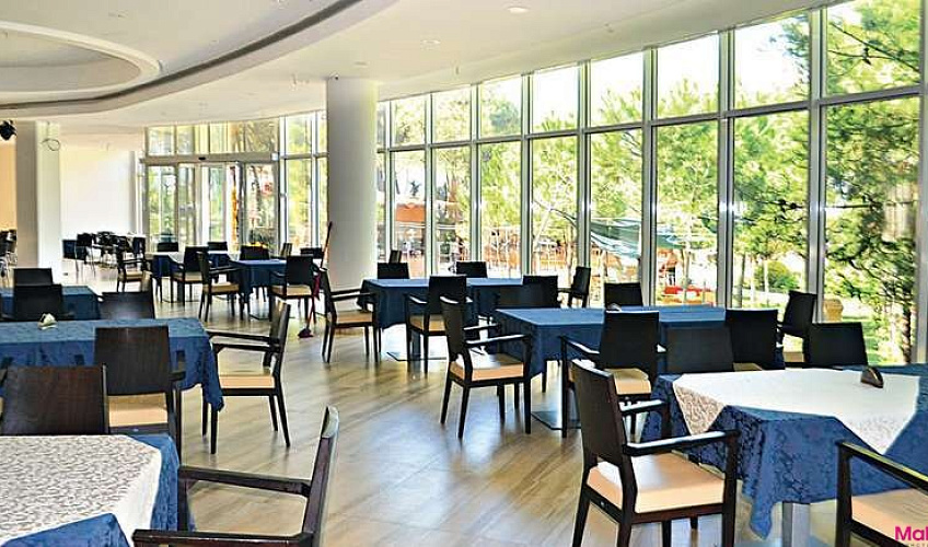 Картинка - 5