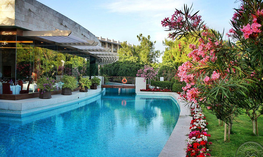 Картинка - 9