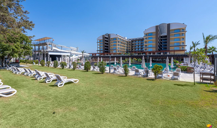 Картинка - 5