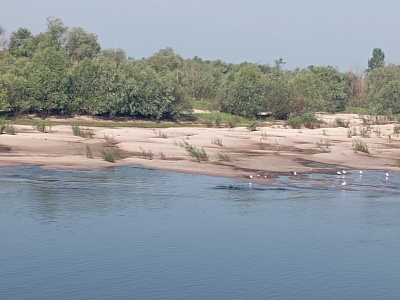 Картинка - 1