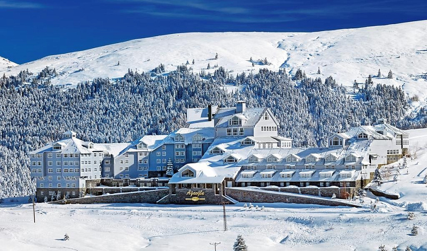 Картинка - 1