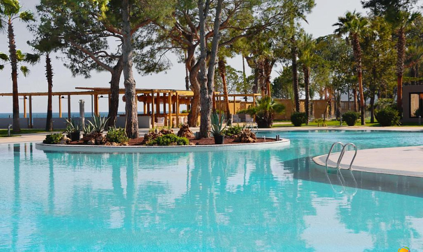 Картинка - 3