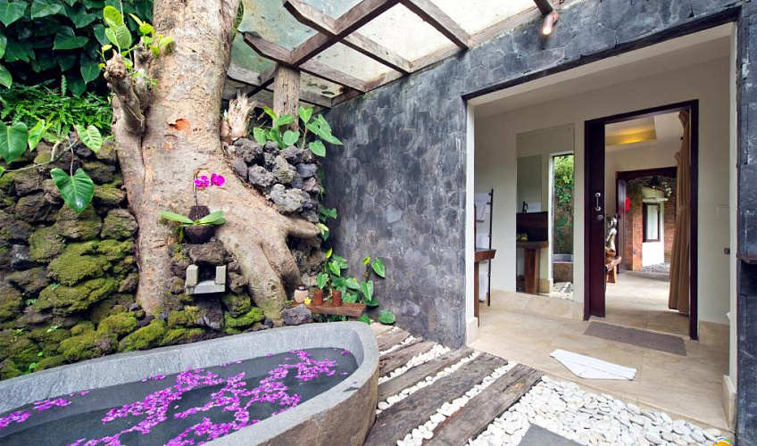 Картинка - 11