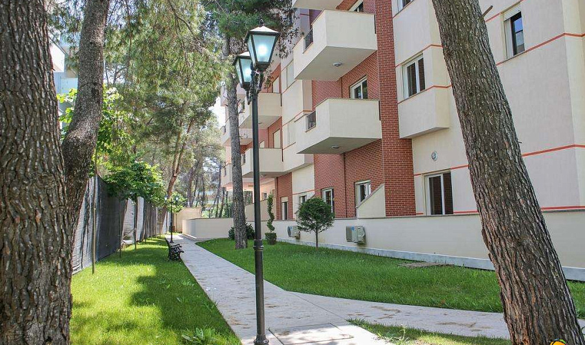 Картинка - 2