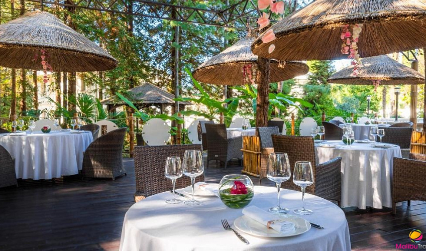 Картинка - 13