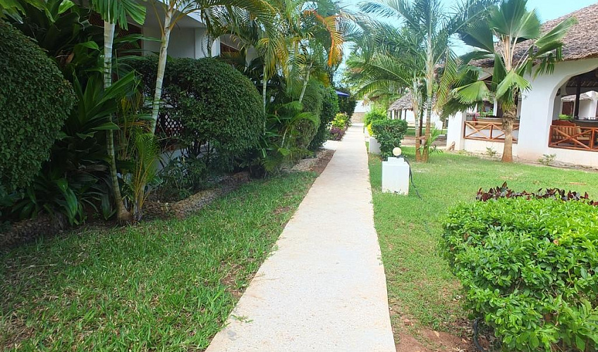 Картинка - 3