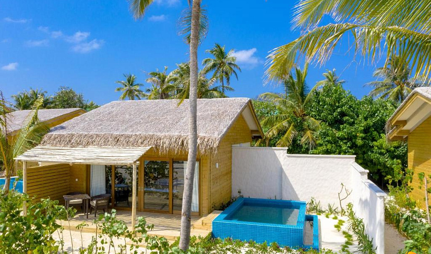 Картинка - 14