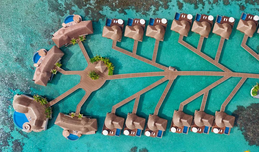 Картинка - 2