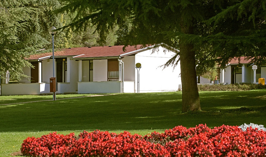 Картинка - 6