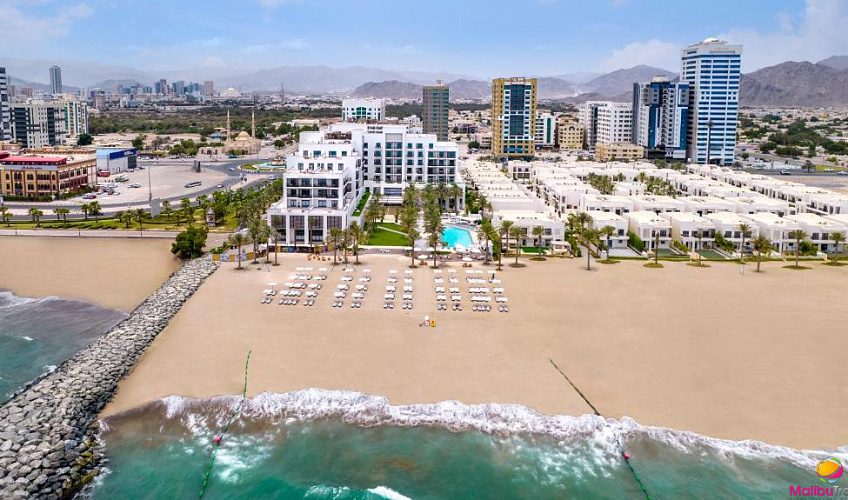 Картинка - 1