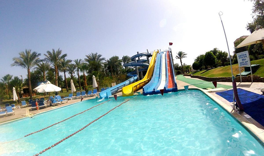 Картинка - 3