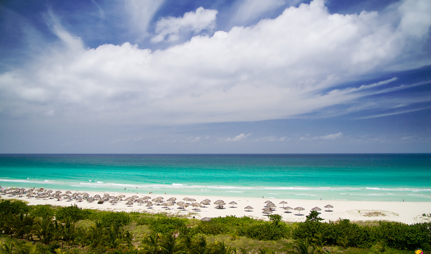 Картинка - 4