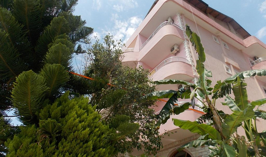 Картинка - 10