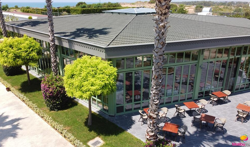 Картинка - 18