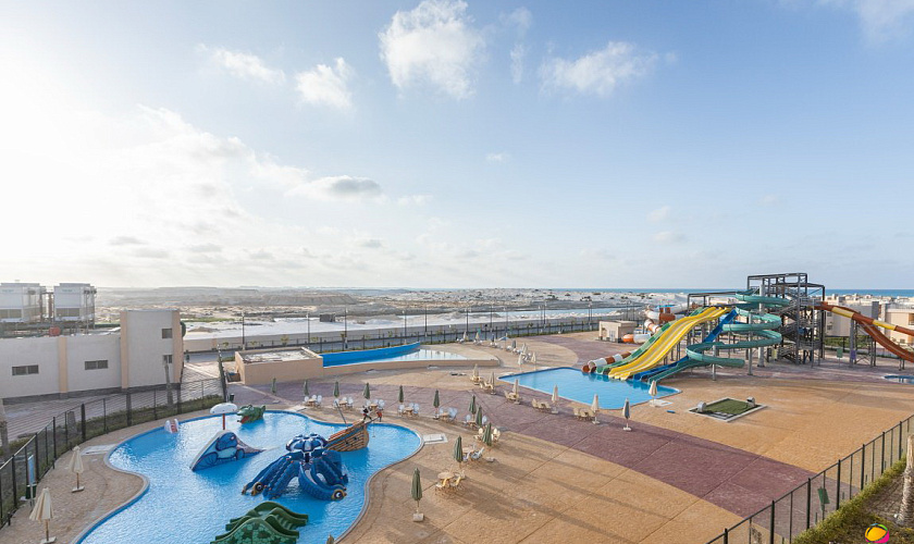 Картинка - 37