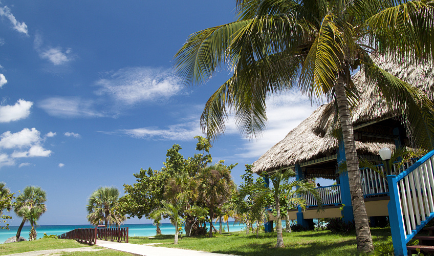 Картинка - 3