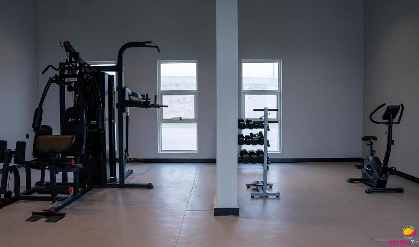 Картинка - 22