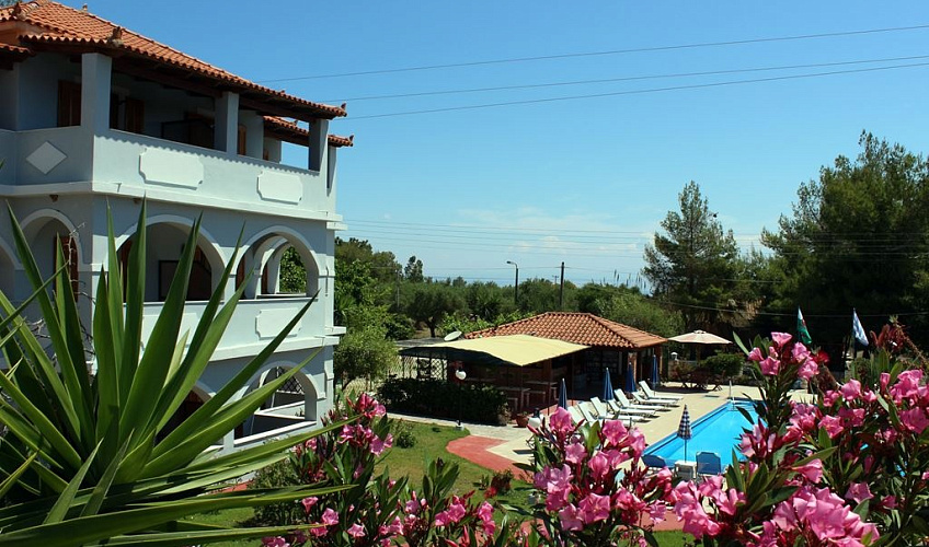 Картинка - 1