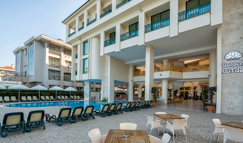 Картинка - 5