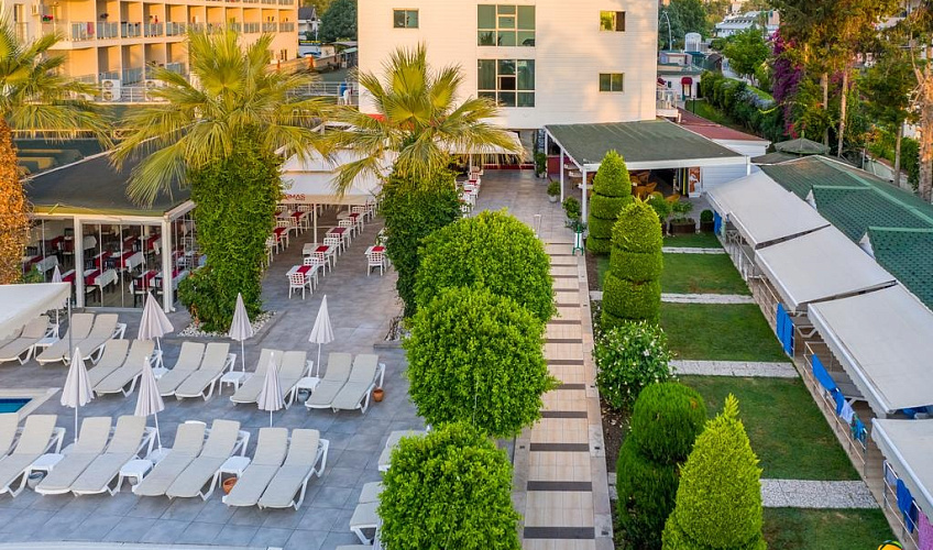 Картинка - 10