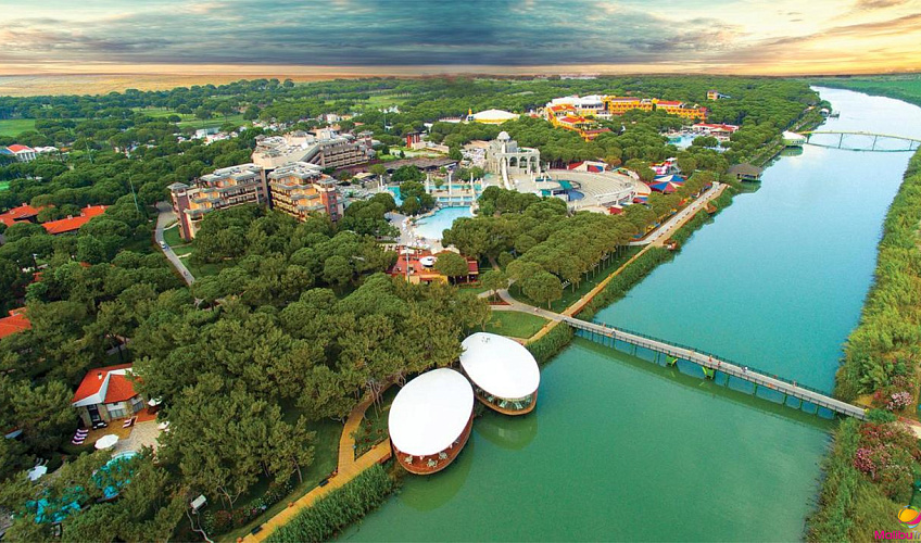 Картинка - 11