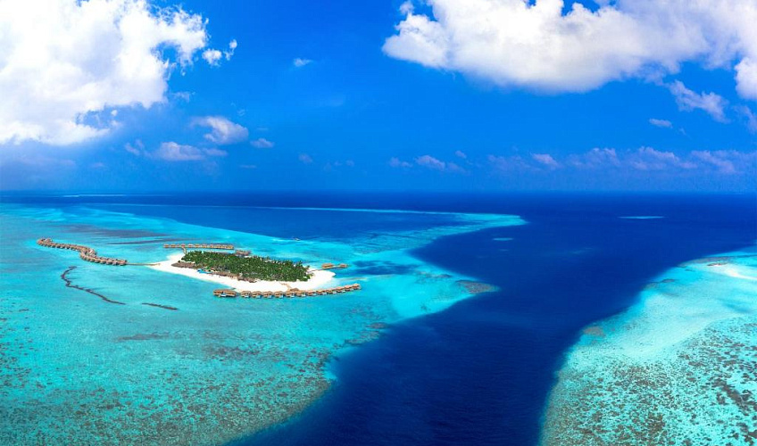 Картинка - 1