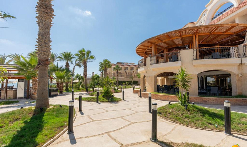 Картинка - 8