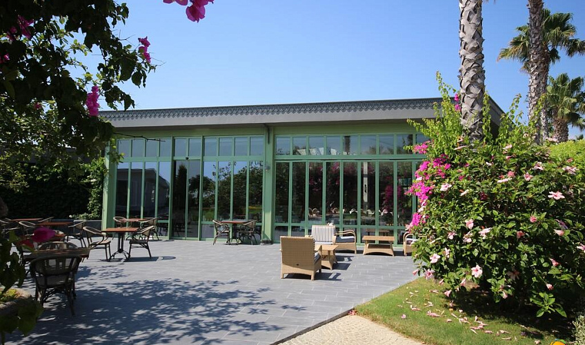 Картинка - 21