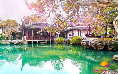 Тур «Шанхай и пригород. Цветение сакуры»