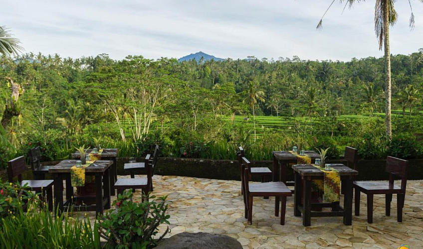 Картинка - 8