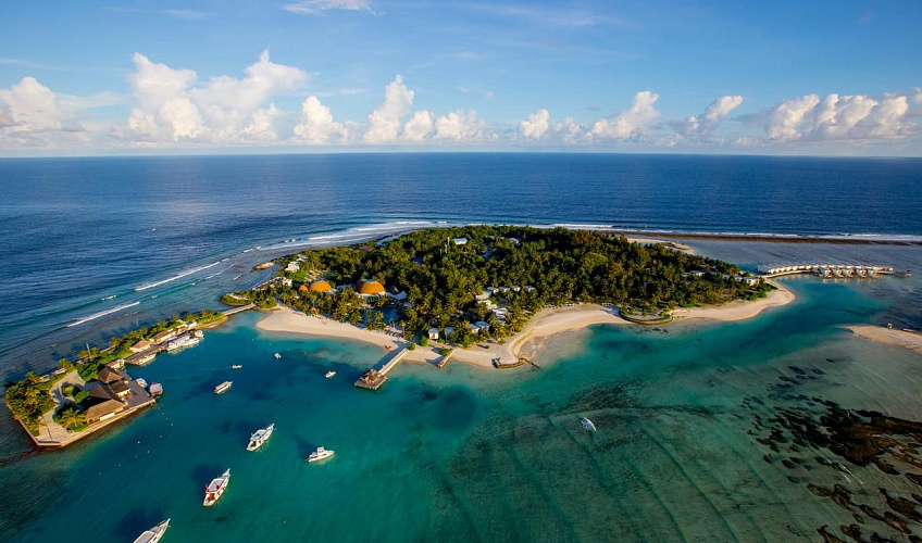 Картинка - 2