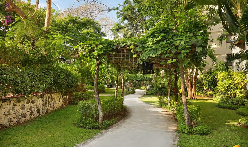 Картинка - 5