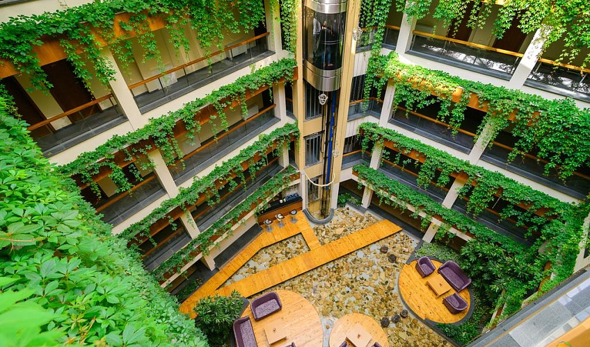 Картинка - 3