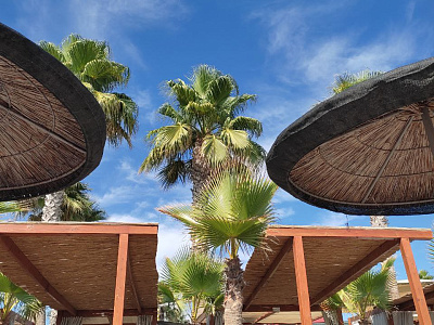 Картинка - 1