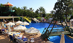Картинка - 12