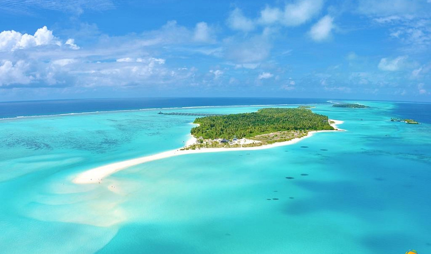 Картинка - 1