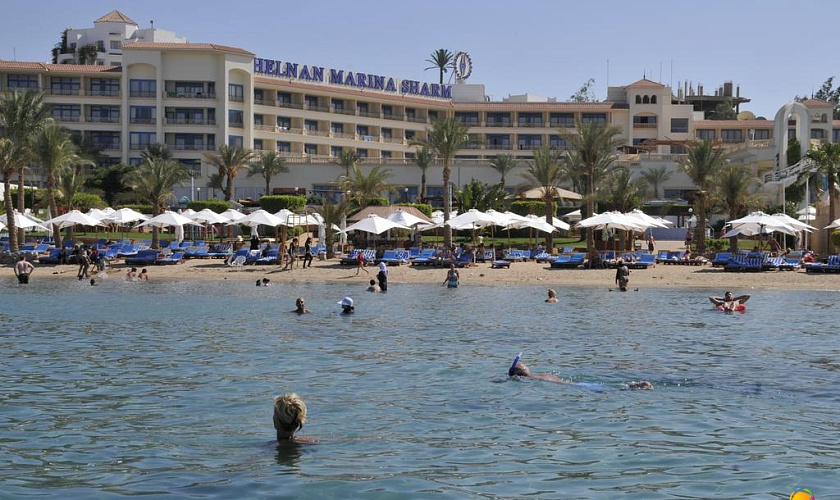 Картинка - 5