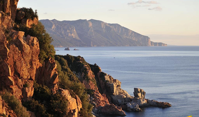 Картинка - 9