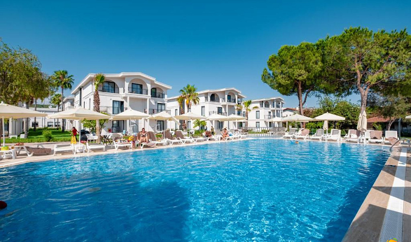 Картинка - 24