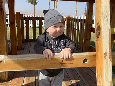 Картинка - 3