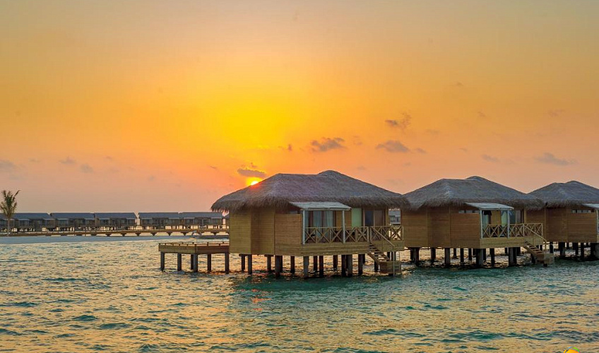 Картинка - 31