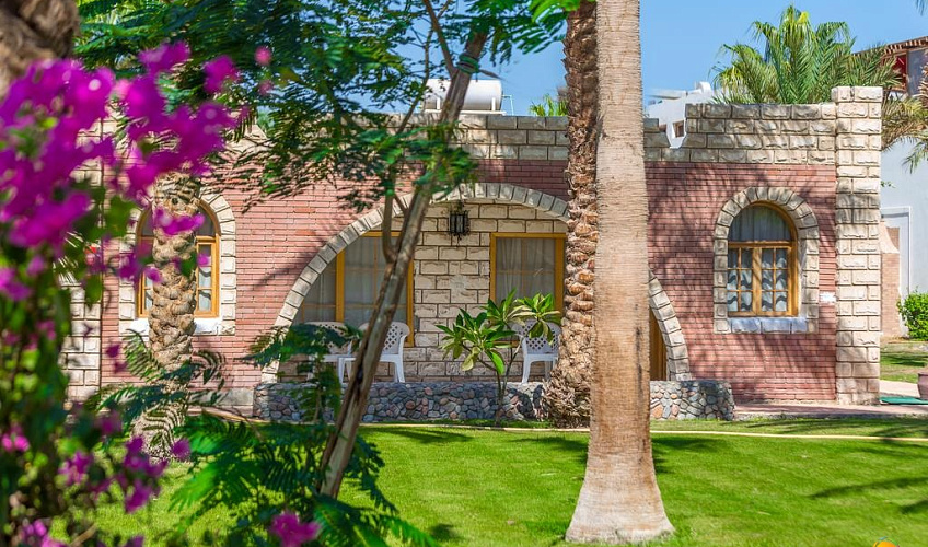 Картинка - 1